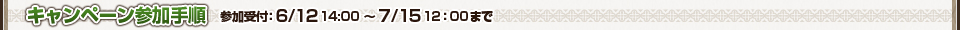 キャンペーン参加手順