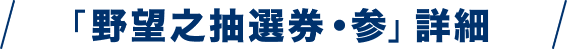 《野望之抽選券・参》詳細