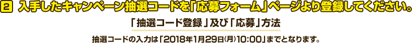 入手したキャンペーン抽選コードを「応募フォーム」ページより登録してください。抽選コードの入力は「2018年1月29日（金）10:00」までとなります。