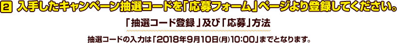 入手したキャンペーン抽選コードを「応募フォーム」ページより登録してください。抽選コードの入力は「2018年9月10日（月）10:00」までとなります。