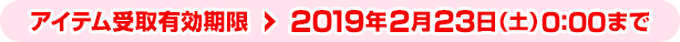 アイテム受取有効期限：2019年2月23日（土）0:00まで